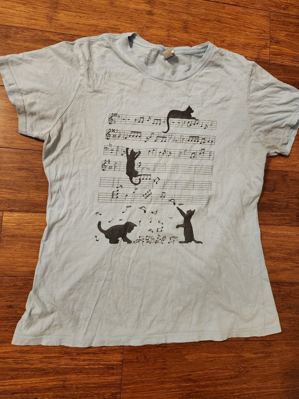 Women's Light Blue Cat Music Notes Funny Humor Graphic Tee Shirt Tshirt, Medium